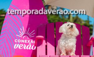 Arena Conexão Verão da NSC - Temporada Verão by sortimentos.com