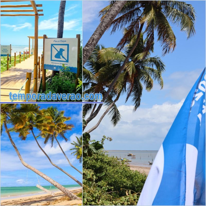 Temporada Verão em Porto de Pedras : Bandeira Azul na Praia do Patacho