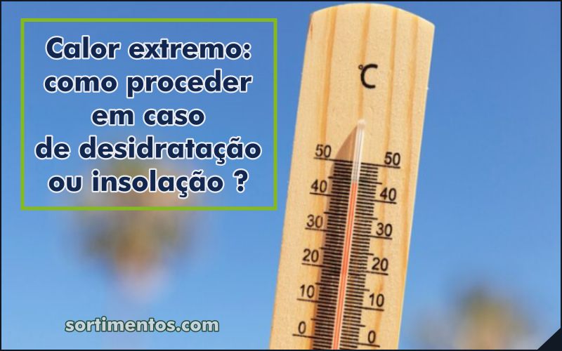 Calor extremo: como proceder em caso de desidratação ou insolação ?