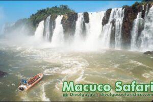 Macuco Safari no no Parque Nacional do Iguacu - Sortimento Temporada Verão