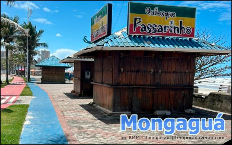 Temporada Verão em Mongaguá no litoral paulista